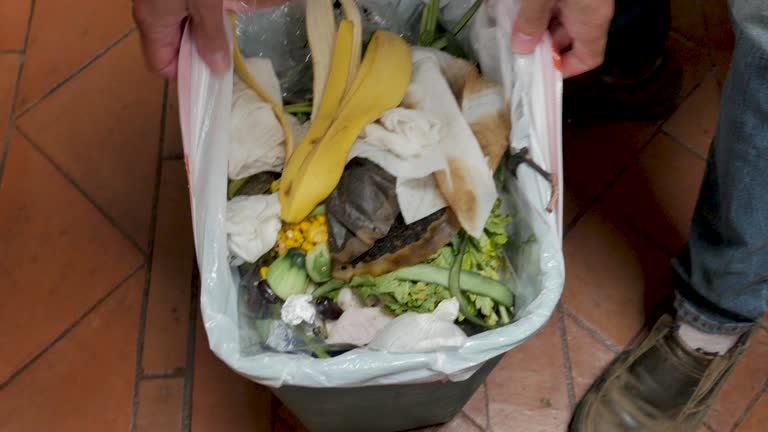Best Construction Debris Removal  in Lockhart, FL